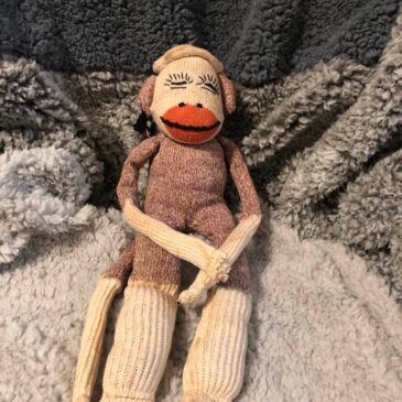 Sock Monkey Kim Cooke