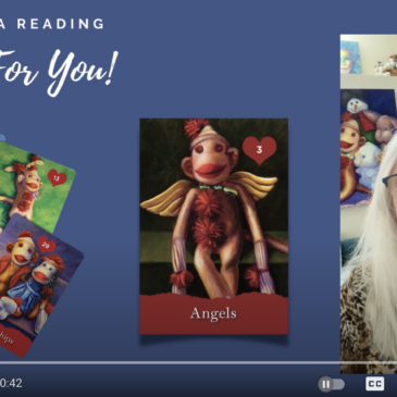 Reading For you Shannon Grissom and Angel Sock Monkey Oracle Card